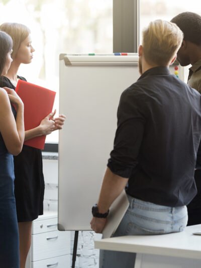 PRESTADORES DE SERVICIOS PROFESIONALES - TECNICOS Y SISTEMAS ESPECIALIZADOS